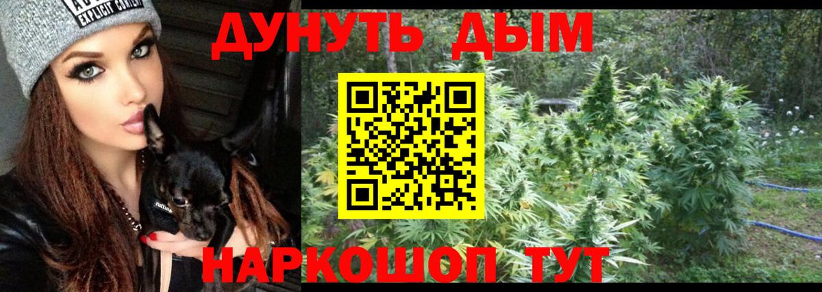Бошки марихуана White Widow  Марихуана OG Kush  Вход с VPN  Заводоуковск 